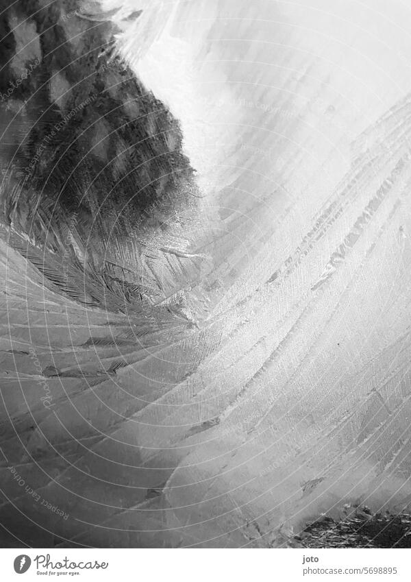 Frozen ice on a window pane with houses in the background Snow Lines and shapes Winter January February March Frost Tracks Structures and shapes Contrast