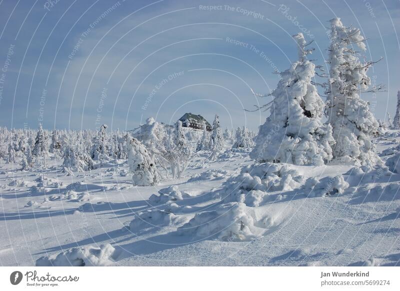 Winter in the Jizera Mountains jakuszyce Seasons White Snow Exterior shot Winter mood Snowscape chill Deserted Winter's day Snow layer Winter walk Frozen Frost