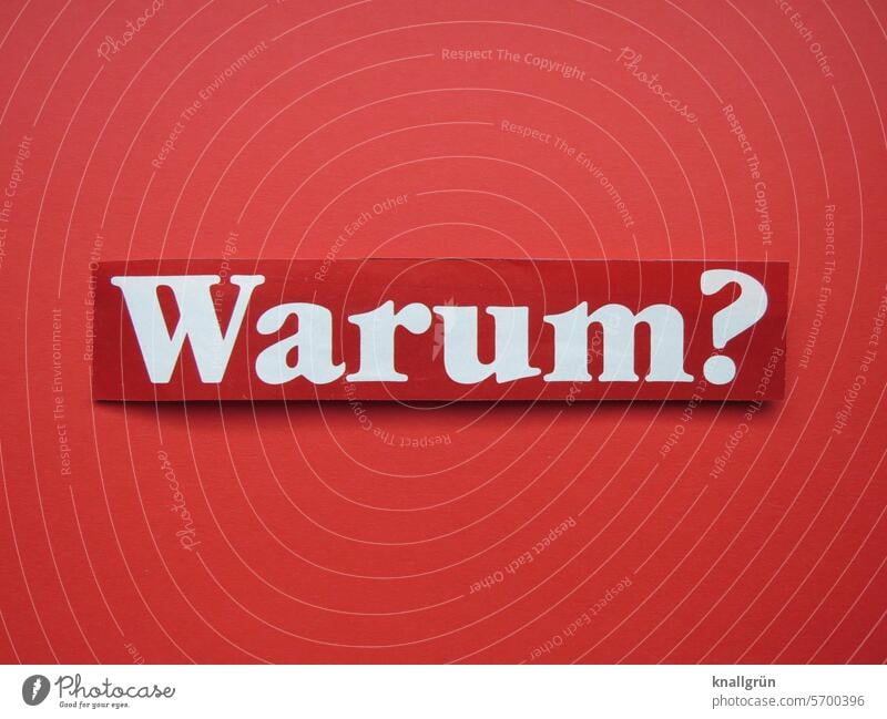 why? Why Ask Text Question mark Communicate Characters Colour photo asking Neutral Background Irritation Curiosity Perplexed Insecure Deserted