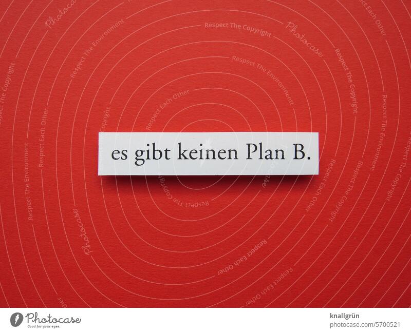 There is no plan B. Plan B Text Panic Pressure Fear Planning Possibilities Deserted Colour photo Signs and labeling intentions Characters Close-up Signage