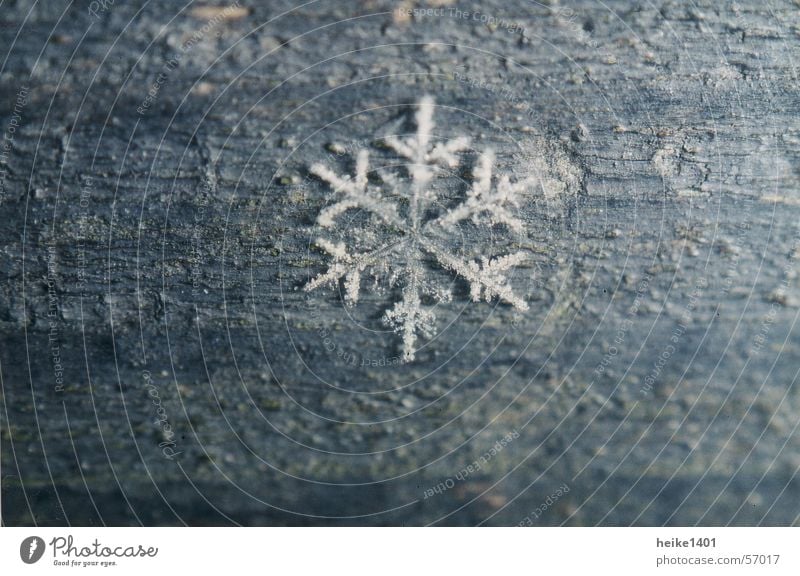 ice crystal Ice crystal Snow crystal Winter Seasons Cold Loneliness Frost Nature Macro (Extreme close-up) Close-up