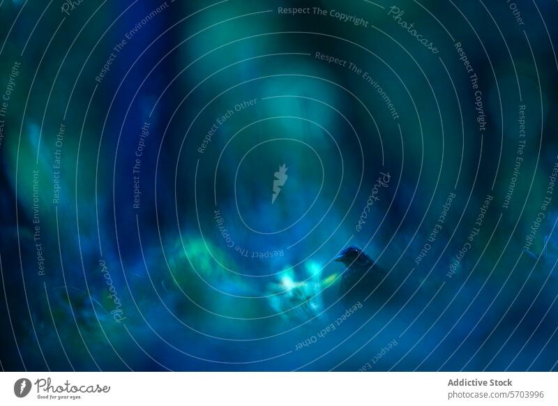 Mysterious blue climber bird in vivid natural setting forest ethereal magical nature wildlife hidden mysterious atmosphere partial view outdoor environment