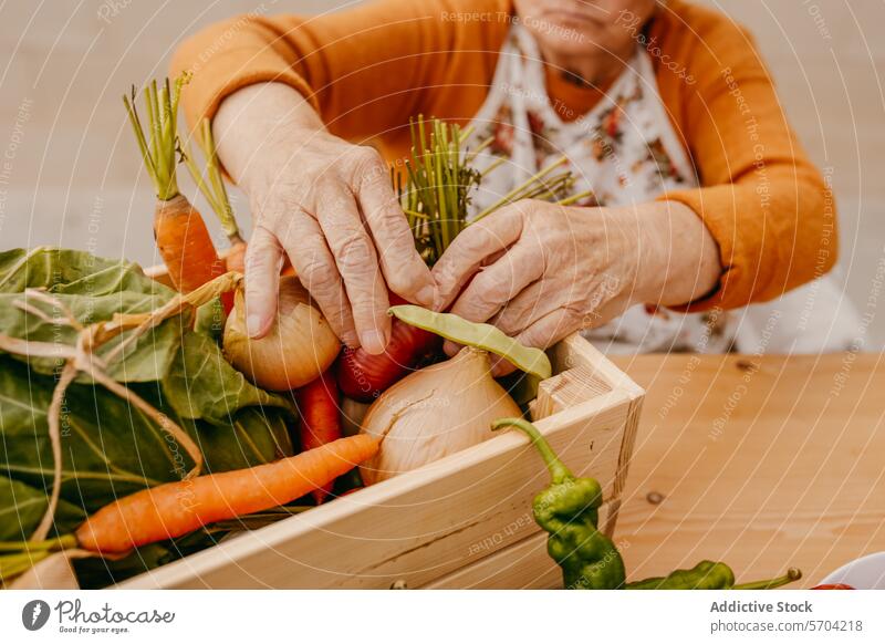 Senior hands sorting fresh vegetables into wooden crate senior harvest organizing tabletop elderly person variety harvested box carrot onion leaf green