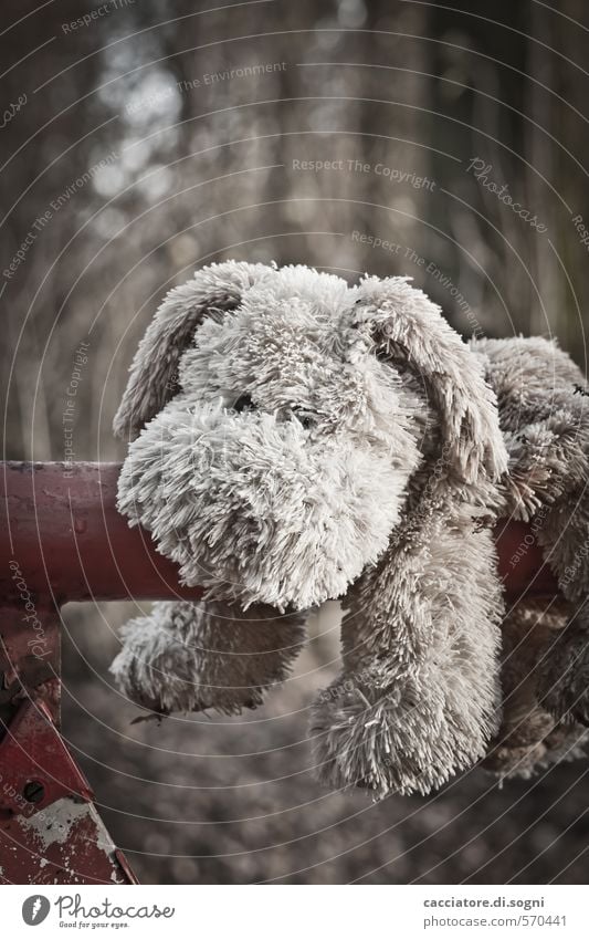 Give me a hug Dog 1 Animal Cuddly toy Toy dog Old Dirty Dark Brown Gray Sympathy Friendship Loyalty Modest Sadness Lovesickness Fatigue Longing Homesickness