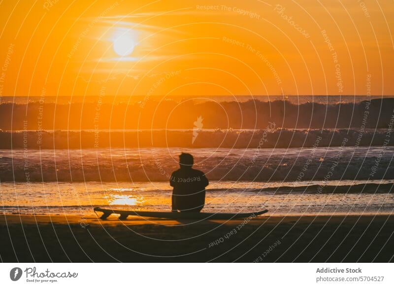 Silhouette of unrecognizable surfer sitting on surfboard at sunset by ocean man sea beach seashore sport silhouette sundown activity nature water summer male