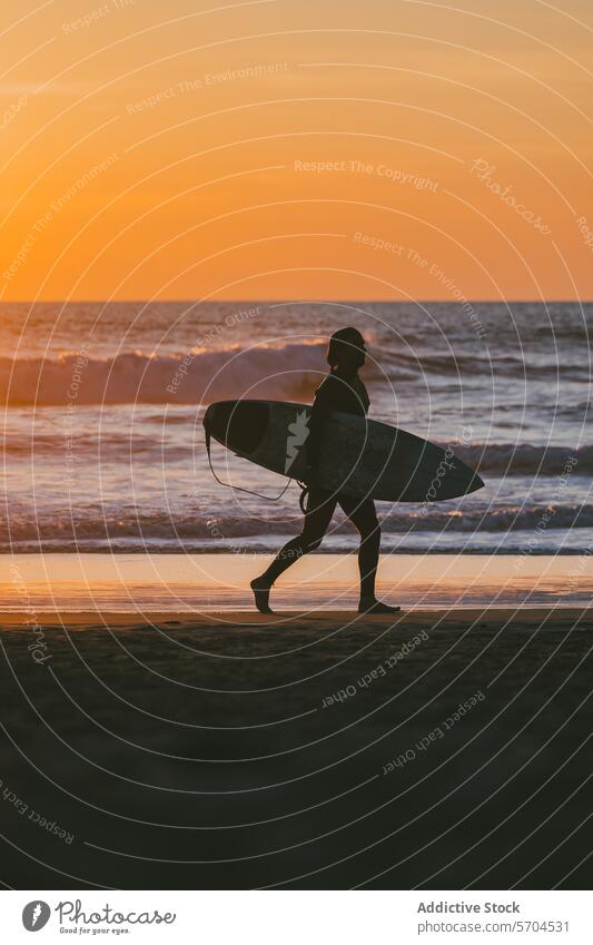 Silhouette of male surfer walking with surfboard on seashore at sunset man wavy ocean sundown sport nature water beach summer silhouette vacation seaside