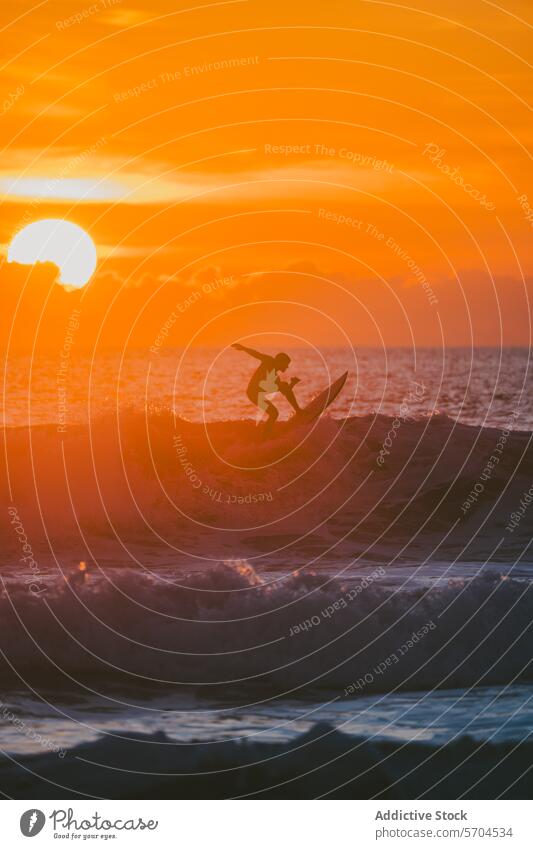 Unrecognizable man surfing on wavy ocean at sunset surfer surfboard sea sundown sport nature water summer male silhouette vacation seaside seascape freedom