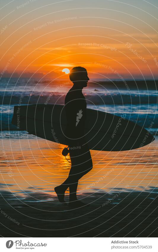 Silhouette of male surfer walking with surfboard on seashore at sunset man wavy ocean sundown sport nature water beach summer silhouette vacation seaside