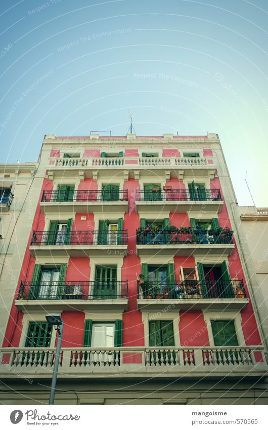 cherry blossoms Town Old town House (Residential Structure) Wall (barrier) Wall (building) Facade Balcony Window Door Roof Friendliness Happiness Bright Natural