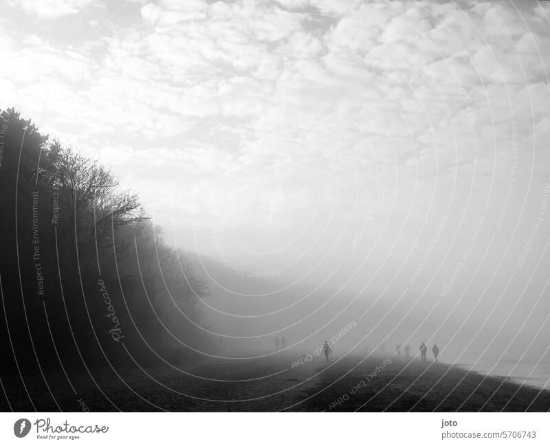 People walk through the fog along the beach Autumn Autumnal Dreary Exterior shot Nature Gloomy October November November weather october weather Sadness