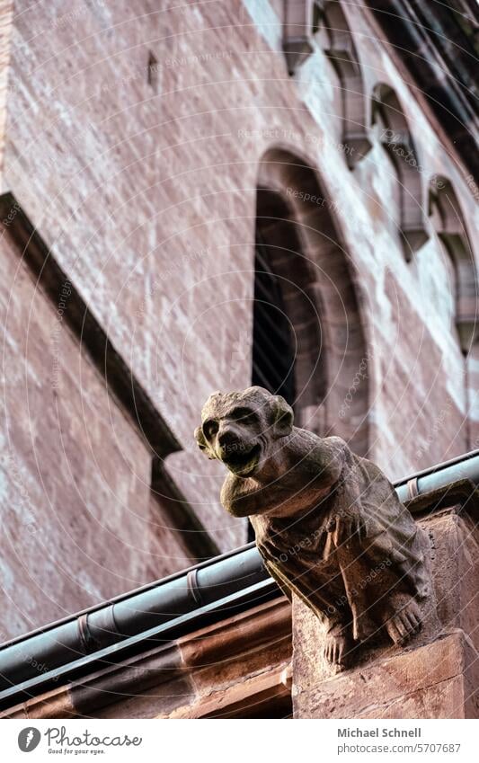 Dog shape on church to ward off demons and evil spirits demonic gargoyle Fear Evil Alarming Freak Stone figure Mythical creature Church Ghosts & Spectres