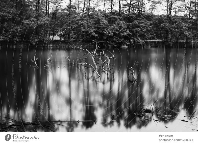 Analog black and white photography. Long exposure at Gottower See in the district of Teltow Fläming abstract art abstract photography Abstract blurred