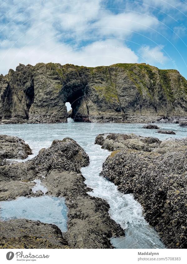 A scenic shot of a beach and rock formation on the Oregon coast Ocean Beach Coast Summer Relaxation Summer vacation Sandy beach Beautiful weather Tourism