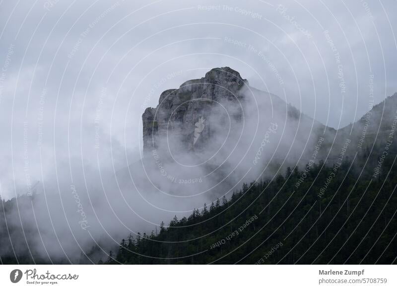 Rocks with fog Fog mountain mountain landscape Nature Exterior shot Clouds Landscape Mountain Hiking Peak Hill Autumn Sky Forest Environment Deserted Alps