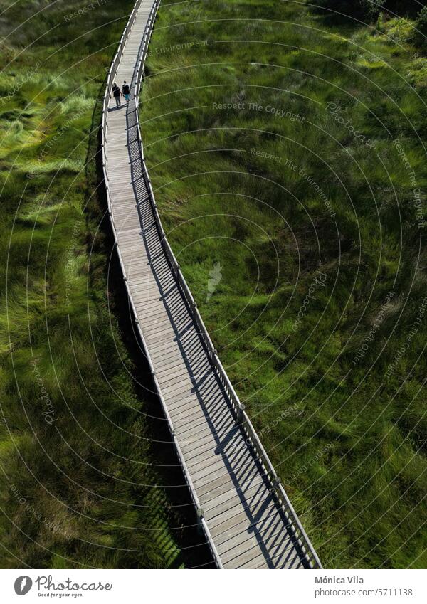 A visitor walks on the Catoira wooden river walk. Wooden walkway over the wetland next to the Ulla River in Catoira. stroll nature path Galicia Torres do Oeste