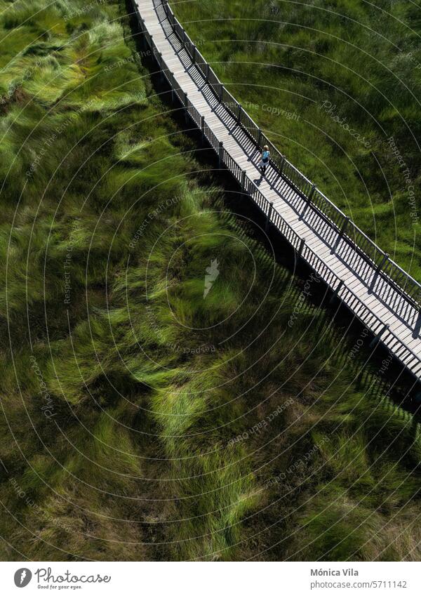 Wooden walkway in the Ulla River wetland in Torres do Oeste, Catoira wood path nature green grass stroll river galicia Pontevedra landscape travel water outdoor