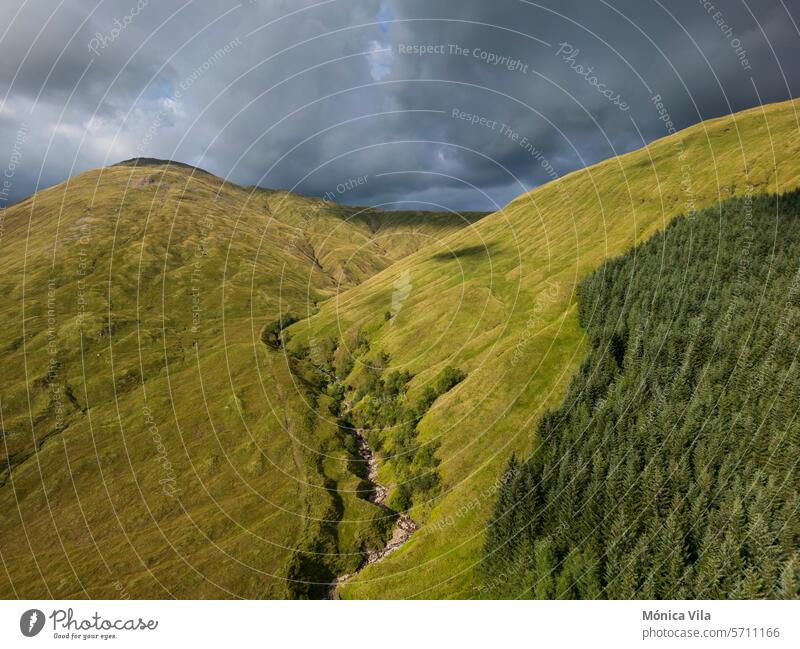 View of the coniferous forest and mountain at Bridge of Orchy. scotland highlands Scotland England mountains green grass nature conifers cloudy sky Landscape