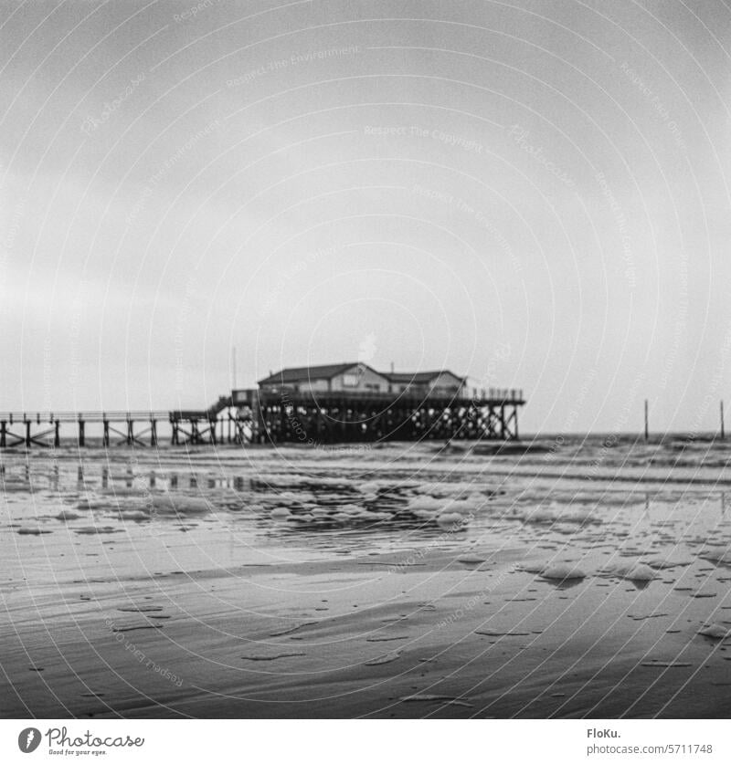 Pile dwelling on the beach at St. Peter Ording Ocean Mud flats North Sea coast Schleswig-Holstein black-and-white Black & white photo Landscape Nature