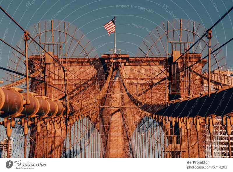 Brooklyn Bridge in the morning III Central perspective Deep depth of field Sunbeam Sunlight Light (Natural Phenomenon) Reflection Shadow Contrast