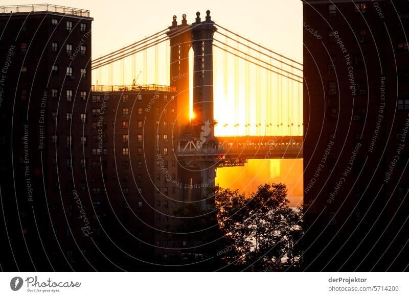 Manhattan Bridge in the morning Central perspective Deep depth of field Sunbeam Sunlight Light (Natural Phenomenon) Reflection Shadow Contrast Copy Space middle