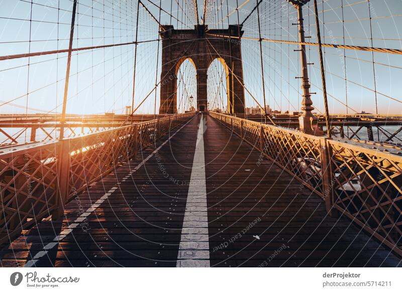 Brooklyn Bridge in the morning II Central perspective Deep depth of field Sunbeam Sunlight Light (Natural Phenomenon) Reflection Shadow Contrast