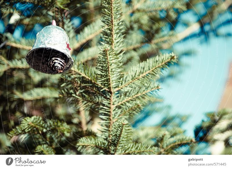 Ringing Bell Ringing Bell Vacation & Travel Tourism Christmas & Advent Friendliness Happiness Positive Blue Green Design Idyll Culture Art