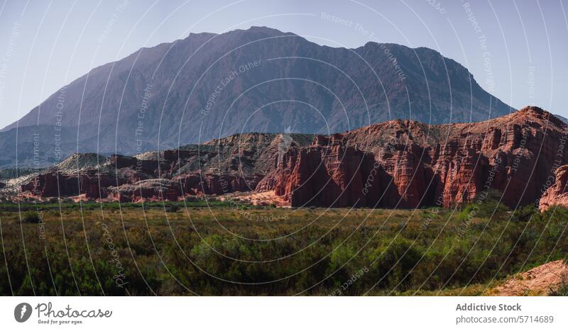 Expansive view of the red rock formations of Los Castillos with a towering mountain range in the background and lush brush in the foreground expansive view