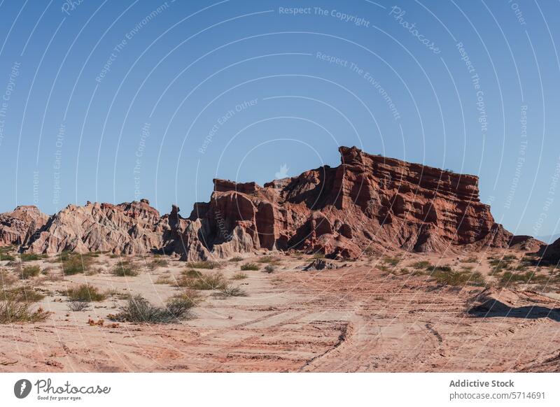 Striking layered red rock formations rising above the desert floor in the Los Castillos region under a clear blue sky clear sky Argentina striking scenic nature