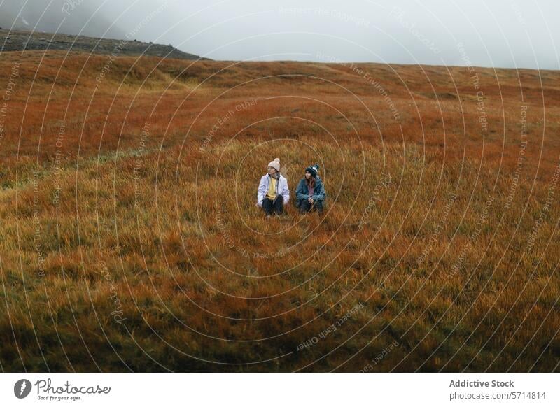 female hikers rest in Icelandic tundra - Iceland Trip women iceland trip landscape autumn colors outdoor mist nature travel adventure exploration scenic