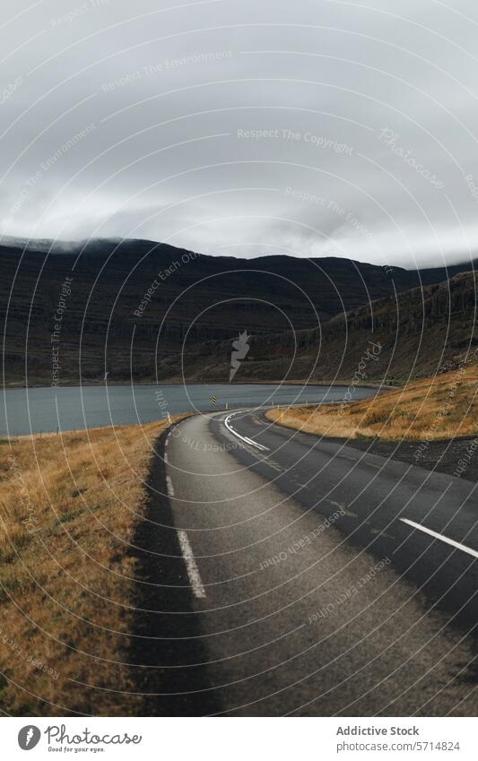 Winding Road through the Icelandic Highlands iceland road landscape travel highlands moody sky empty winding nature outdoor adventure scenic drive destination