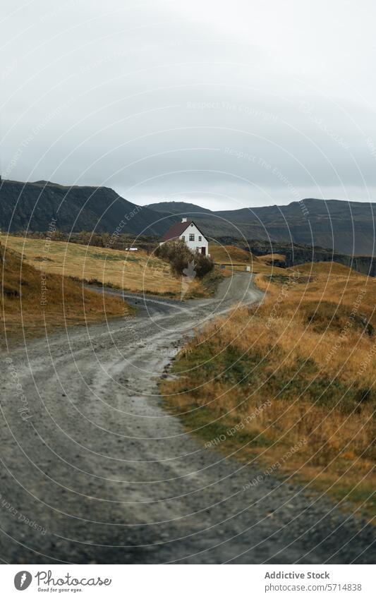 Generated image iceland house countryside remote solitude scenic landscape nature travel road rural serene outdoor adventure icelandic destination grassland