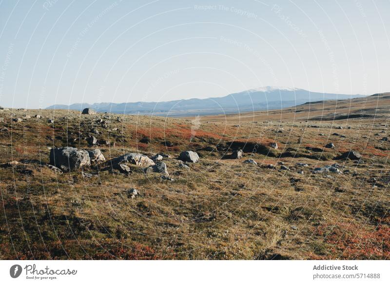 Serene Icelandic landscape with distant mountains iceland tranquility field rocks snow-capped clear sky nature serene outdoor travel destination icelandic