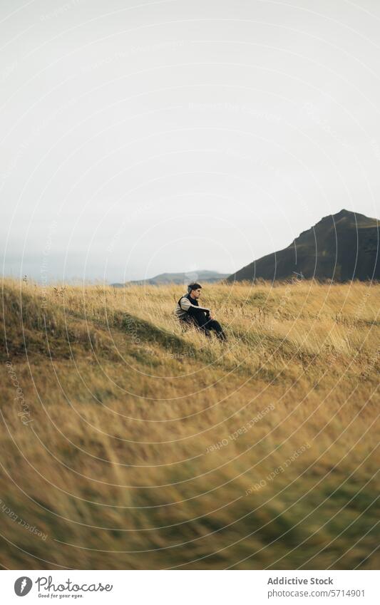 Man Contemplating in Serene Icelandic Meadow iceland trip man meadow contemplation solitude nature peaceful serene rolling hills scenery travel icelandic remote