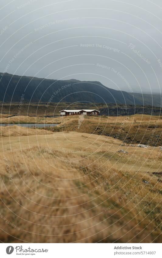 Generated image iceland landscape remote house mountain mist field nature solitude rural quiet tranquility icelandic countryside travel destination scenic vista