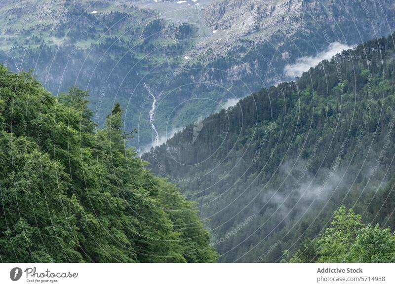 Misty mountain landscape of Bujaruelo Valley, Spain bujaruelo valley mist nature greenery river rugged terrain ordesa monte perdido national park huesca spain