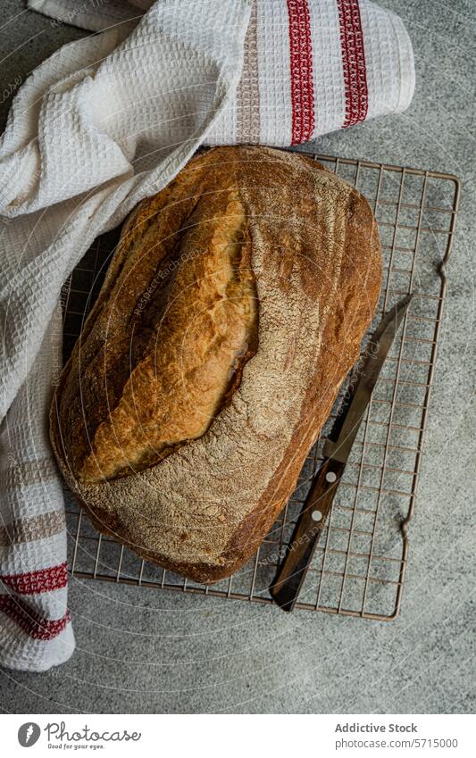 Top view of freshly baked loaf of rye sourdough bread sits cooling on a wire rack, accompanied by a bread knife and a white cloth with red stripes Sourdough