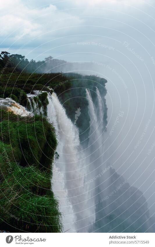 Misty Iguazu Falls in Lush Greenery iguazu falls argentina waterfall mist nature greenery foliage vertical sky clouds lush landscape travel tourism