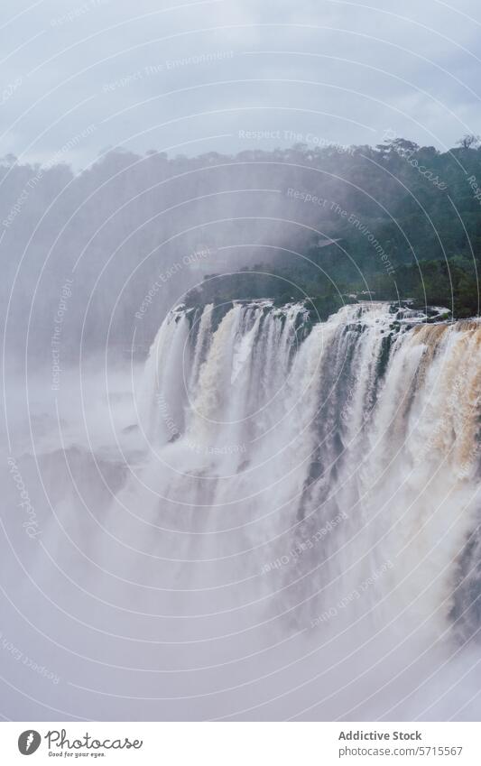 Misty Iguazu Falls in Northern Argentina iguazu falls argentina waterfall mist nature landscape forest travel south america natural wonder tourism misty cascade