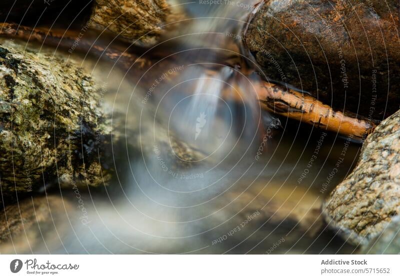 Serene stream flow through rocks in winter long exposure tranquil serene guadarrama national park moss-covered nature water landscape natural outdoor