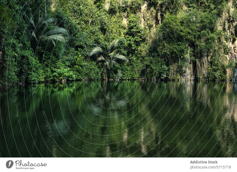 Lush Malaysian rainforest river and limestone cliffs malaysia tropical serene lush green nature landscape water jungle reflection tranquility ecology natural