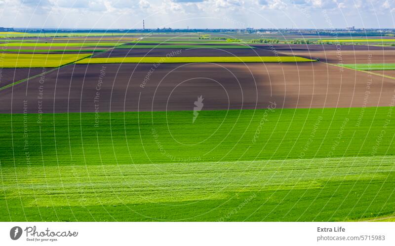 Aerial view on shadow of clouds over agricultural fields, divided parcels, wheatgrass Above Agricultural Agriculture Arable Cereal Cloud Cloudscape Colorful