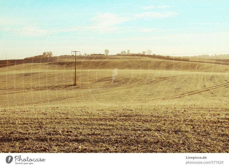 da field Environment Nature Landscape Plant Sky Clouds Sun Sunlight Beautiful weather Tree Wild plant Field Hill Illuminate Serene Calm Idyll Colour photo