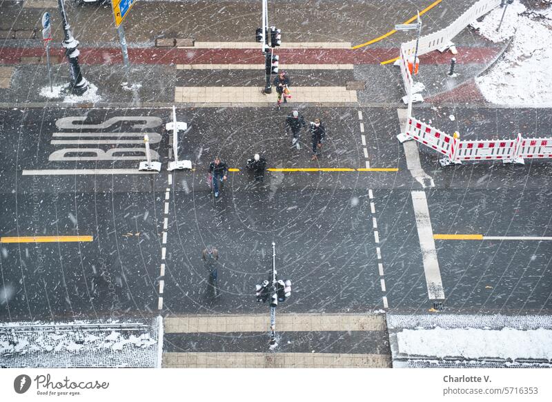 Berlin's dirty winter I Pedestrian crossing in driving snow Filthy weather Snowfall Pedestrian traffic light bus lane Passers-by Street photography