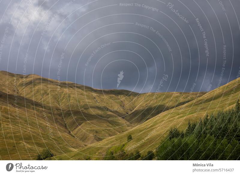 Generated image aerial view Auch Bridge of Orchy Scotland highlands mountains green grass forest nature Landscape Hill Mountain Clouds Hiking Exterior shot