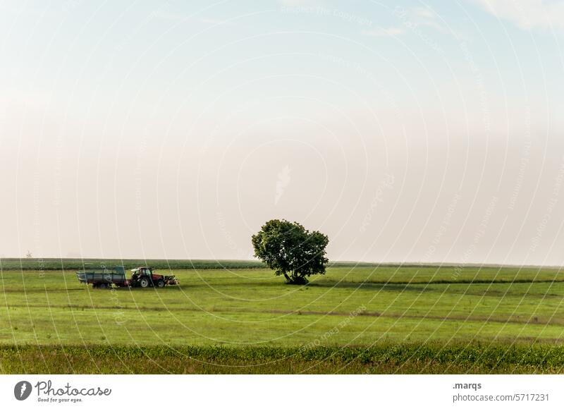 Driving a tractor Farmer Rural Country life Green Blue pretty Authentic Tractor Means of transport Field Meadow Beautiful weather Horizon Clouds Sky Air