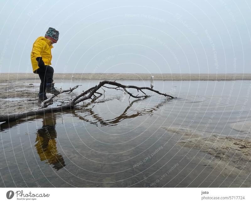 Child playing on the beach with a branch on a foggy day Autumn Autumnal autumn atmosphere Gray somber Dreary Bad weather Lines and shapes Exterior shot