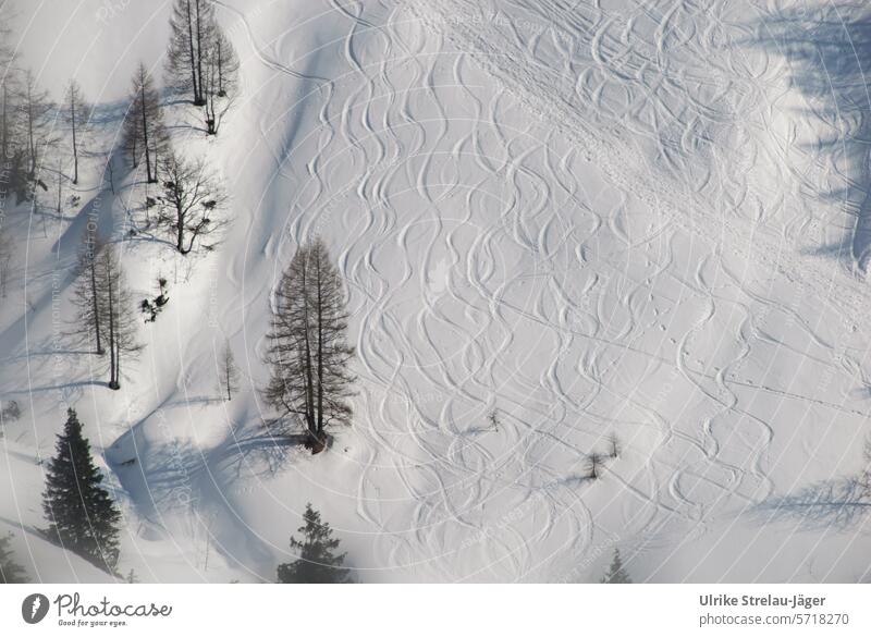 Ski tracks in the snow on a mountain slope Skiing Ski run Ski resort skis Snow Tracks Traces of snow ski tracks Winter Winter sports Winter vacation