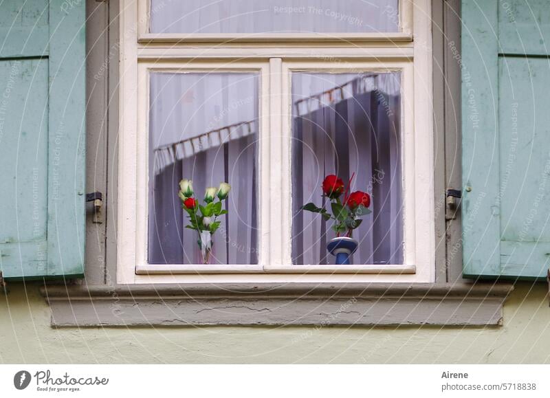 the unfading Window Romance Flower vase Bouquet Idyll Window pane Old building Vase decoration Shutter endearing nice Curtain Decoration Evergreen