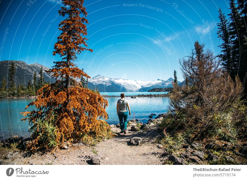 Woman walking towards the lake next to a dead tree Canada Forest Mountain Vantage point Hiking Tree Panorama (View) Blue sky sunny migrating vacation Sky