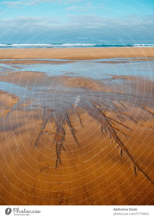 Serene Beachscape with Unique Sand Patterns beach sand pattern ocean wave blue sky serene peaceful nature coastline seascape tranquil textured sandy shore water